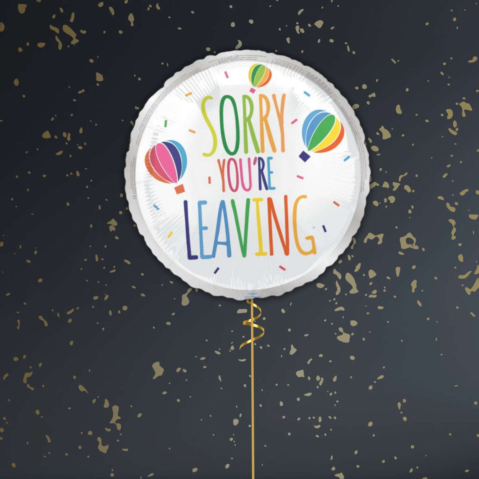 🎈 18" Sorry You’re Leaving Hot Air Balloon Foil Balloon – Farewell Balloon Package ✨