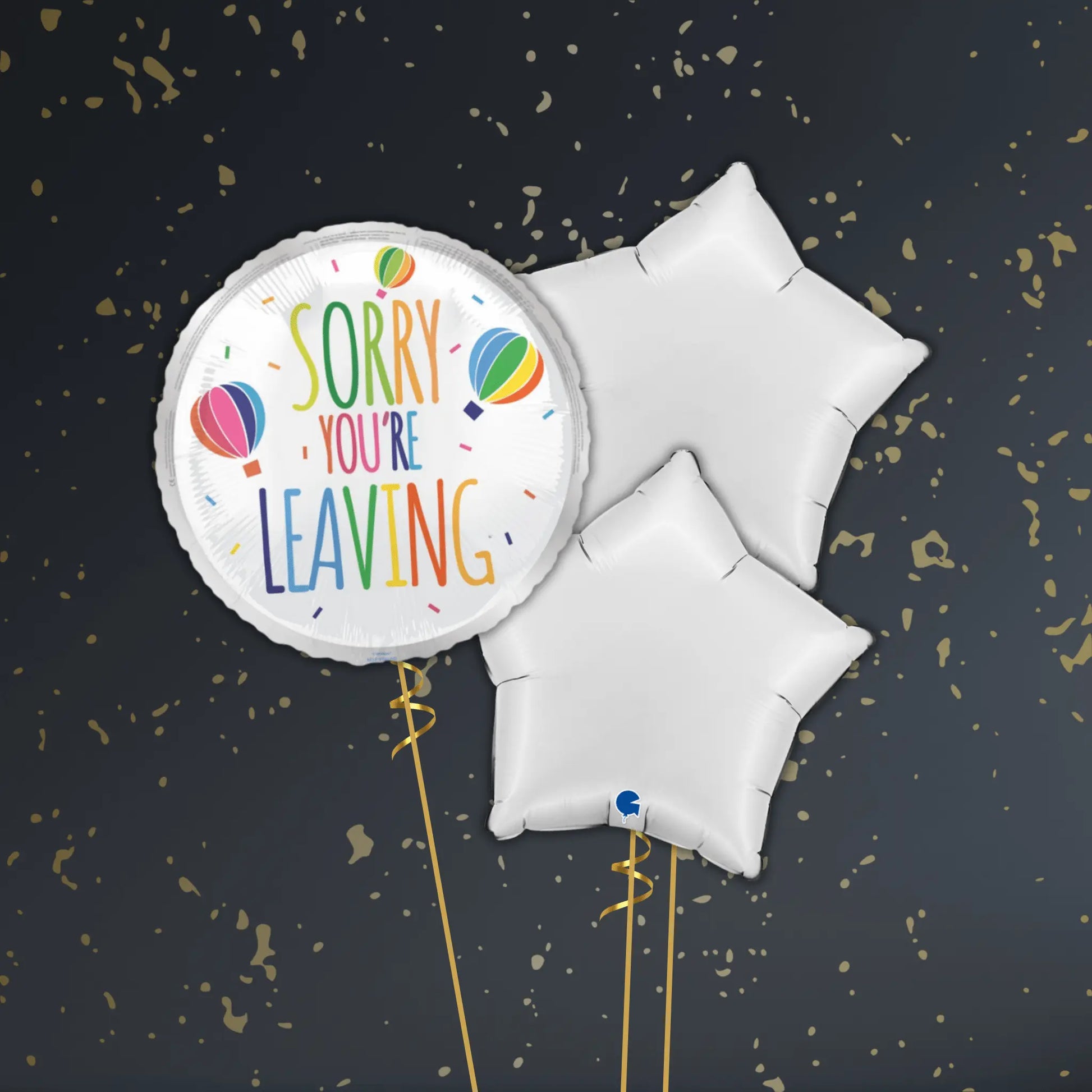 🎈 18" Sorry You’re Leaving Hot Air Balloon Foil Balloon – Farewell Balloon Package ✨