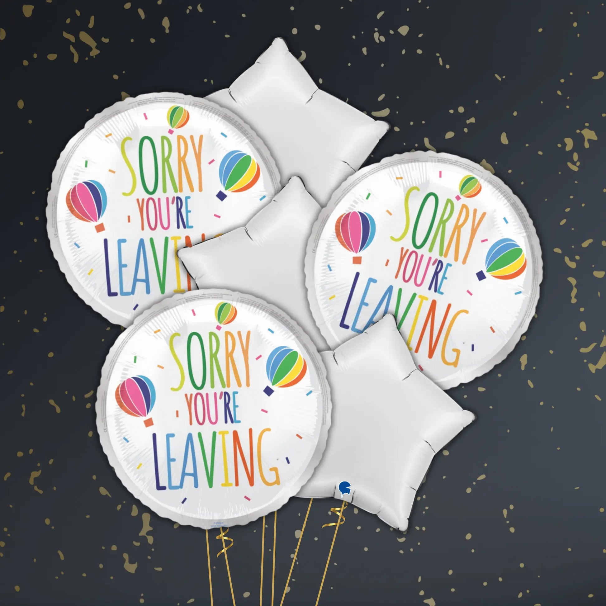 🎈 18" Sorry You’re Leaving Hot Air Balloon Foil Balloon – Farewell Balloon Package ✨