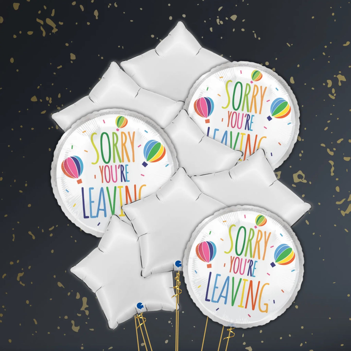 🎈 18" Sorry You’re Leaving Hot Air Balloon Foil Balloon – Farewell Balloon Package ✨ | The Party Hut