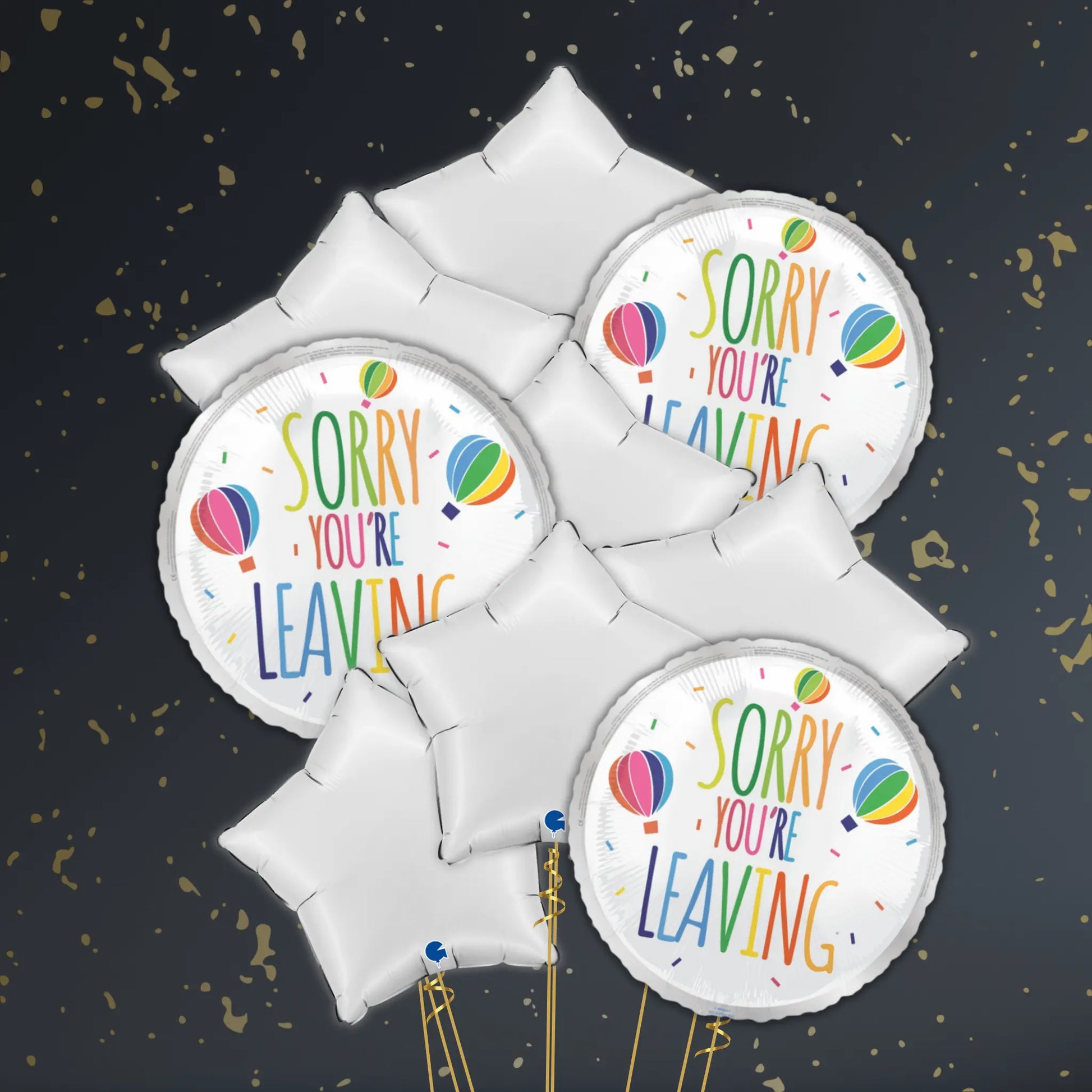 🎈 18" Sorry You’re Leaving Hot Air Balloon Foil Balloon – Farewell Balloon Package ✨