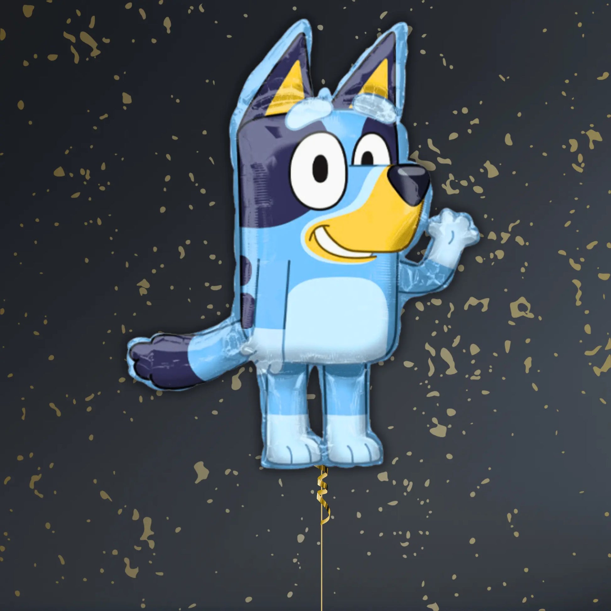 Bluey Character Balloon Package - Helium Filled