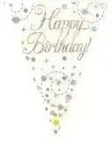 Happy Birthday Bunting (Rose Gold Sparkle) 3.9m | The Party Hut