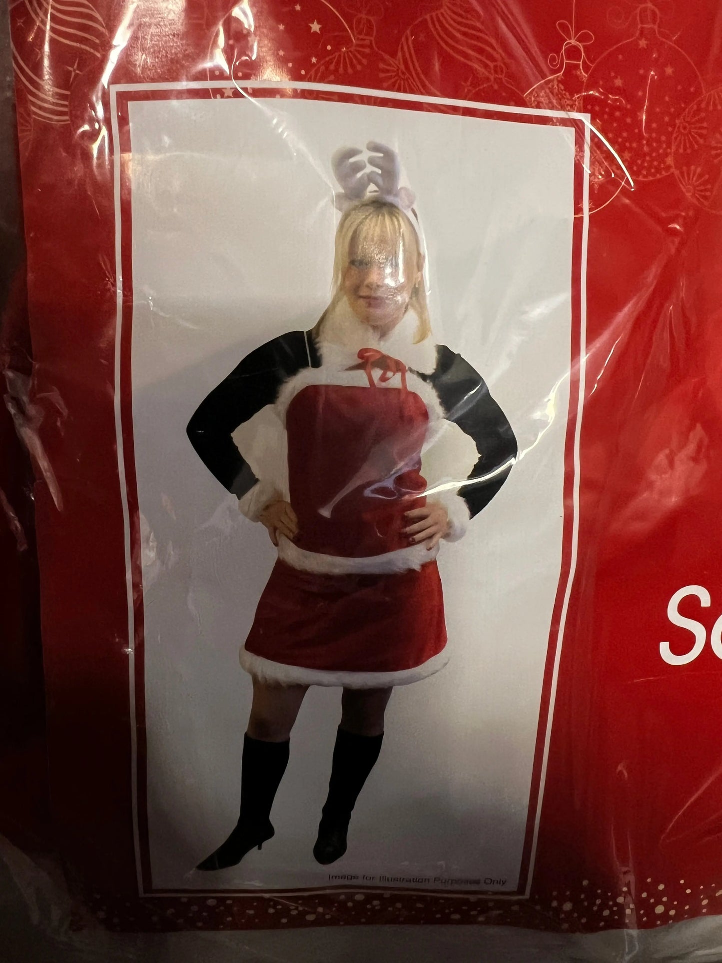Luxury Miss Santa Costume – Elegance and Glamour for the Holiday Season | The Party Hut Cheltenham
