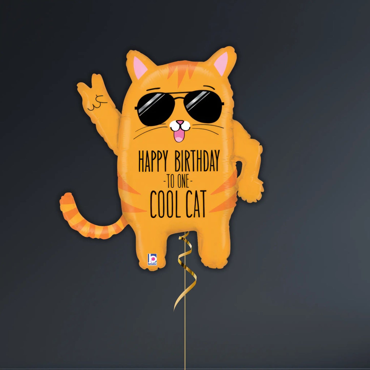 Cool Cat Birthday Balloon Package with Black & Orange Foils | The Party Hut Cheltenham