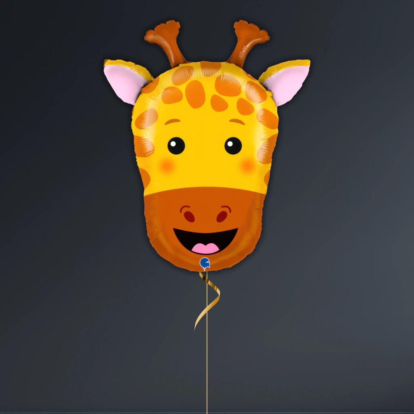 Giraffe Jungle Birthday Balloon Package with Safari Theme | The Party Hut Cheltenham