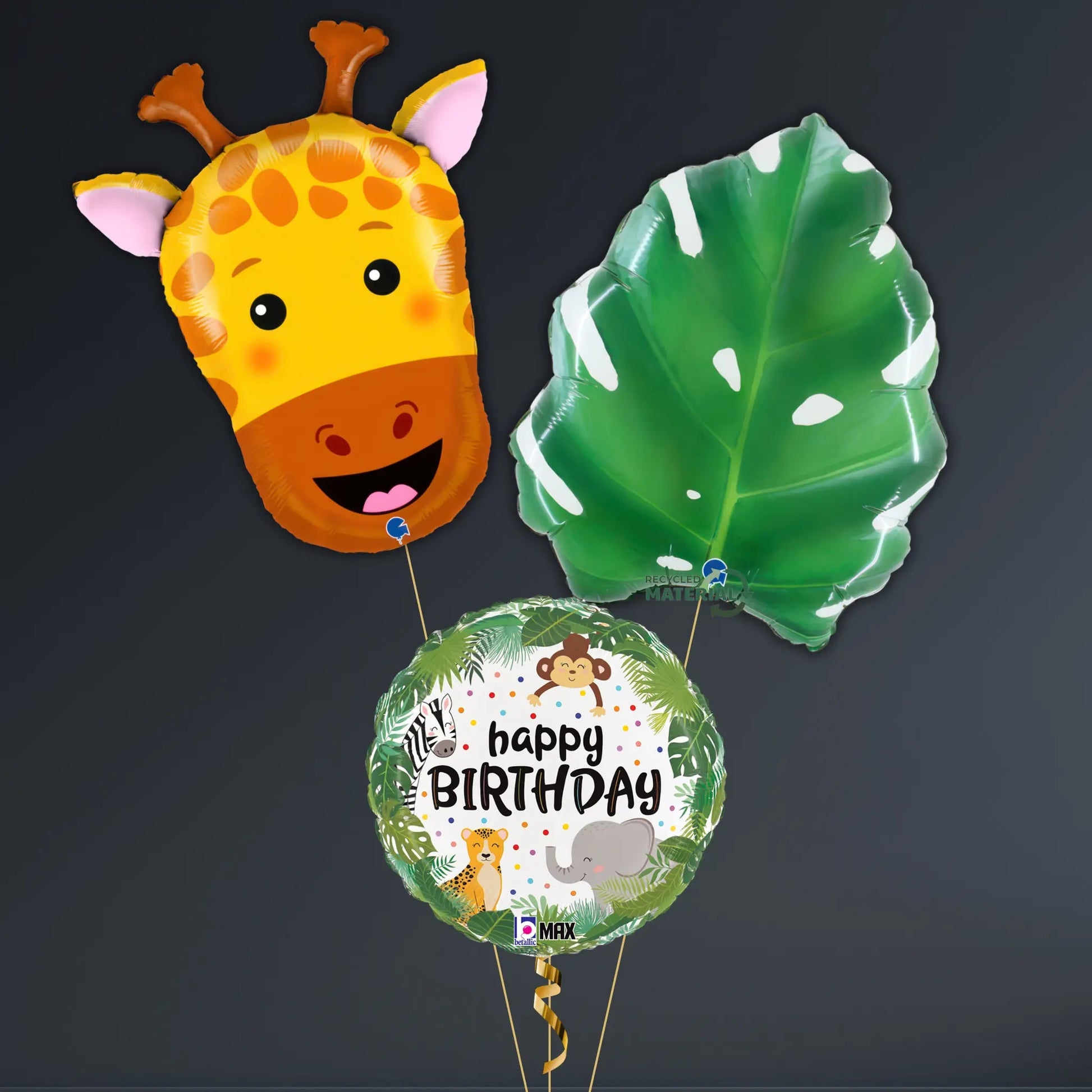 Giraffe Jungle Birthday Balloon Package with Safari Theme
