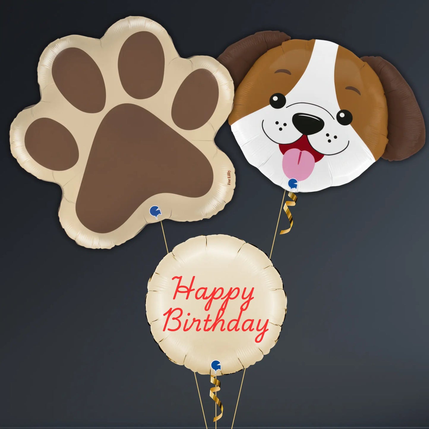 Happy Birthday Dog Paw Balloon Package – Cute Puppy Design | The Party Hut Cheltenham