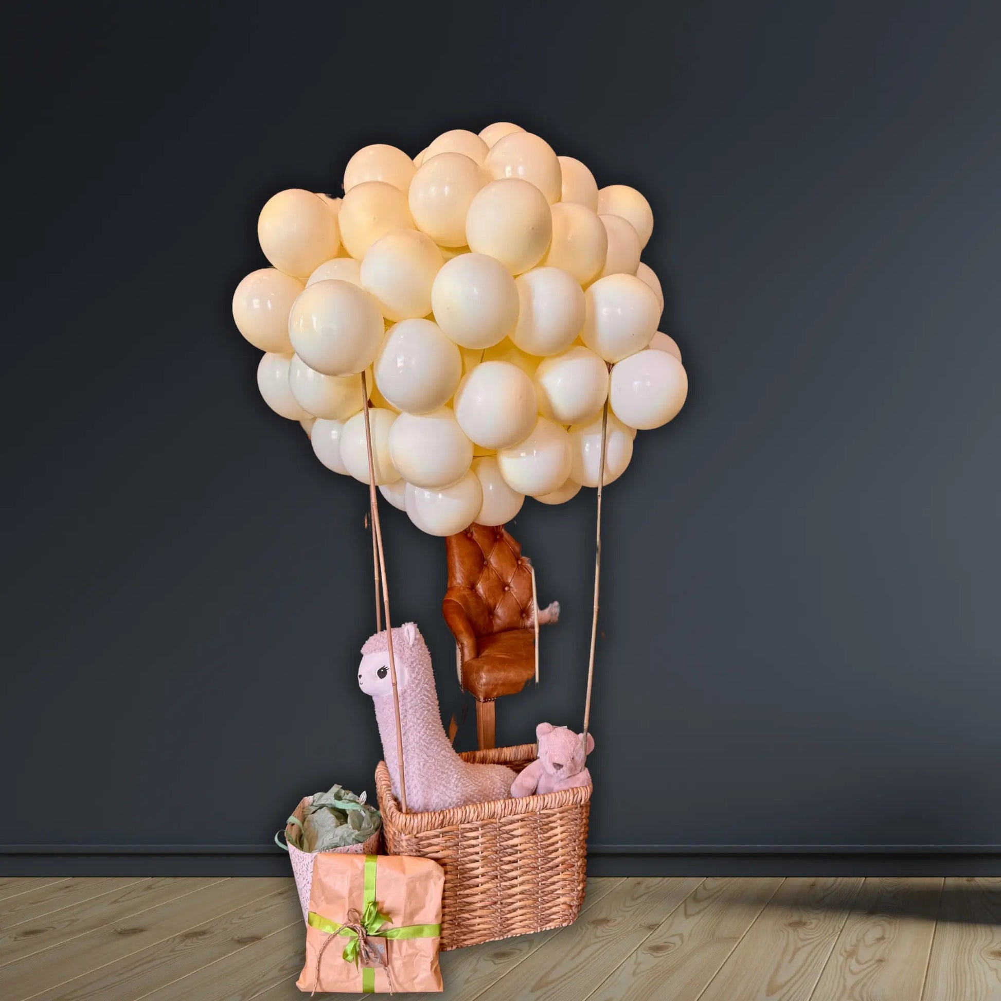 Whimsical Hot Air Balloon Display Balloon Package