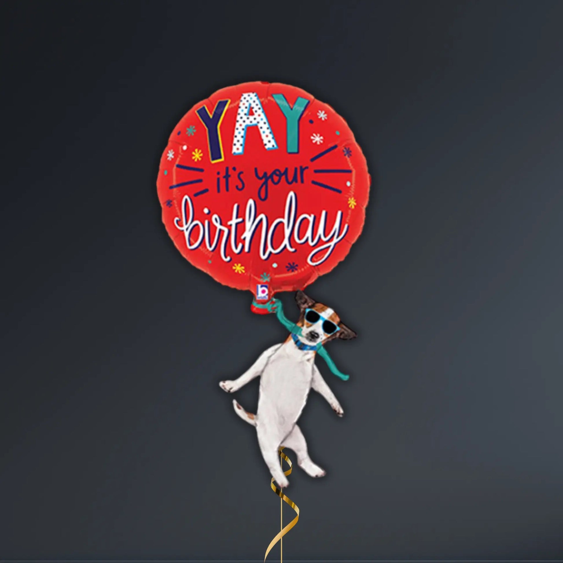 Yay It’s Your Birthday Dog Balloon Package – 46" Helium Filled