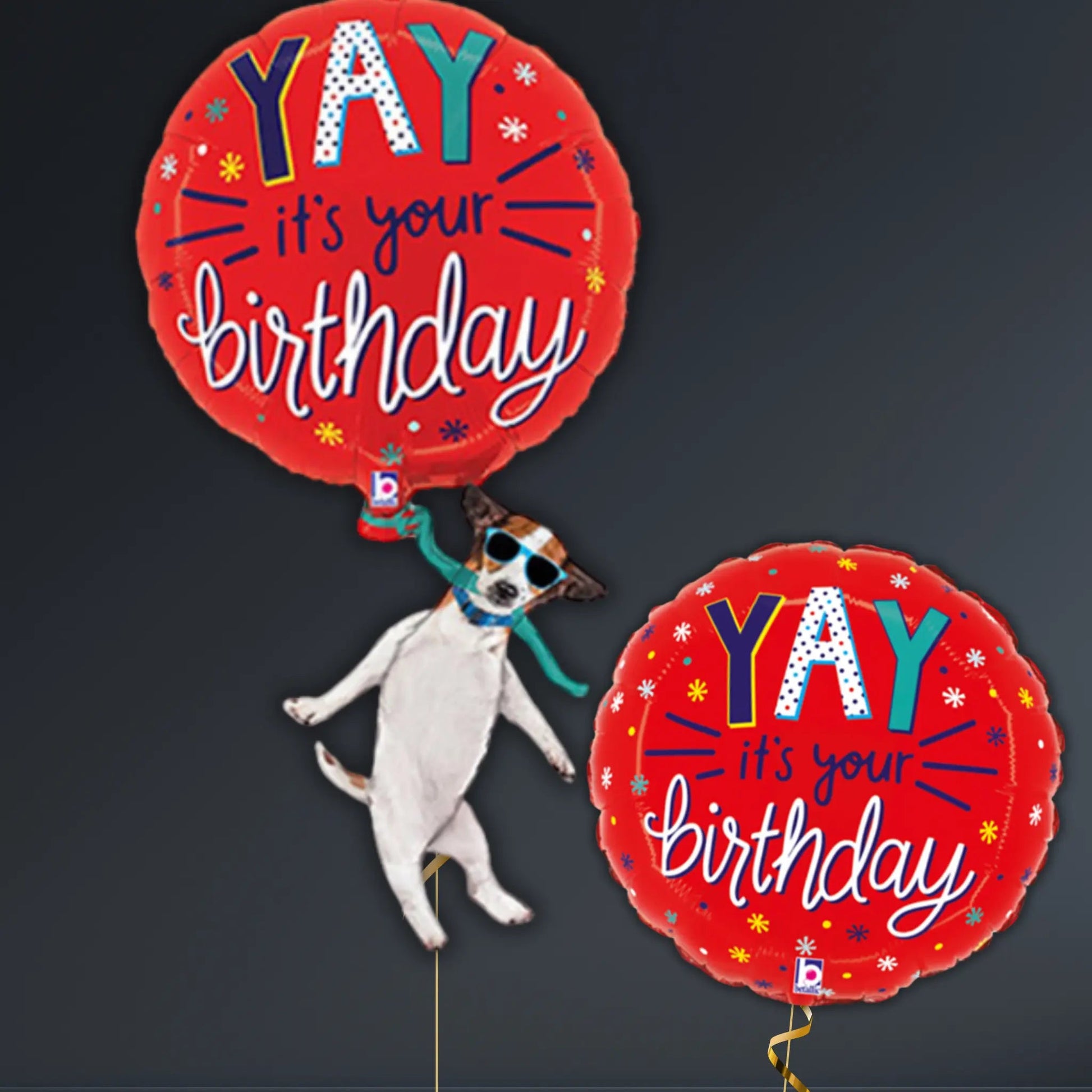 Yay It’s Your Birthday Dog Balloon Package – 46" Helium Filled