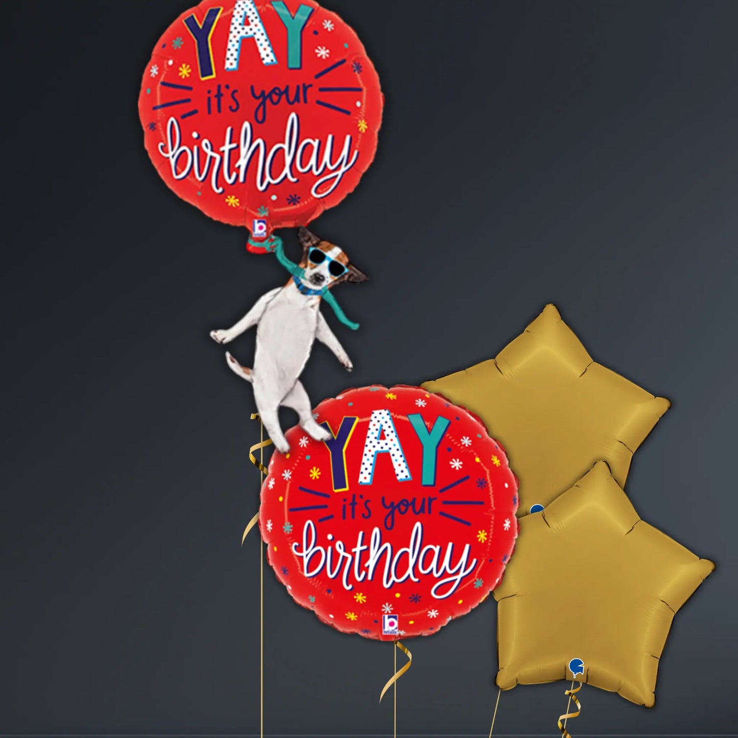Yay It’s Your Birthday Dog Balloon Package – 46" Helium Filled | The Party Hut Cheltenham