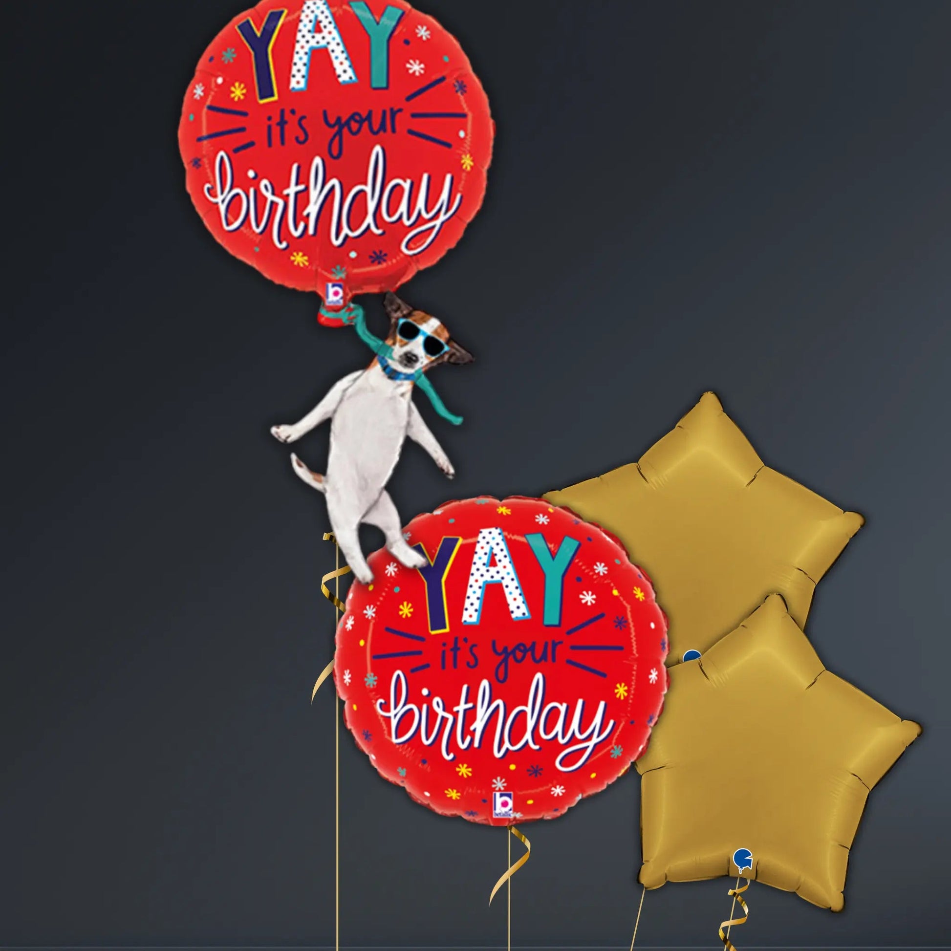 Yay It’s Your Birthday Dog Balloon Package – 46" Helium Filled